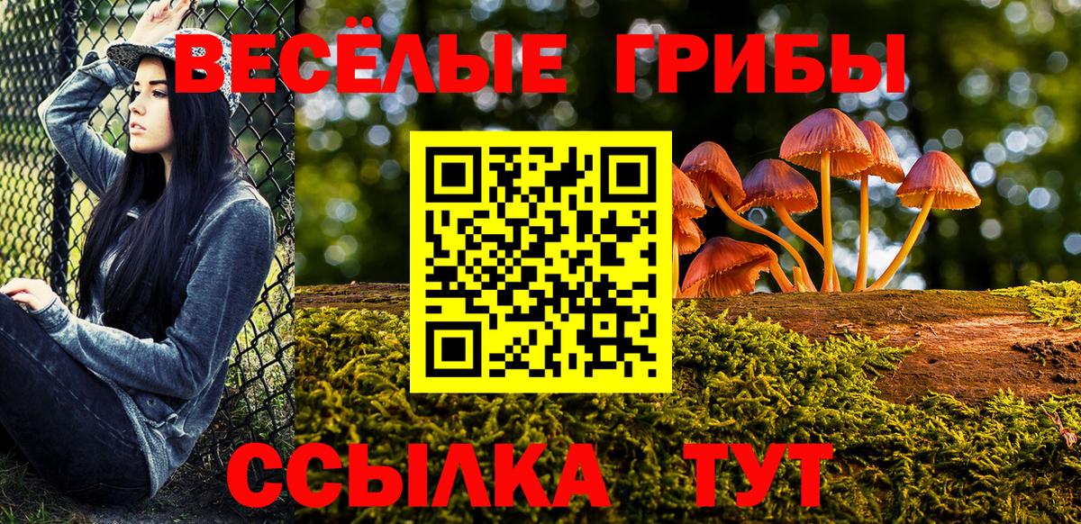 Галлюциногенные грибы мицелий  Вход с VPN  Гатчина  Галлюциногенные грибы Psilocybine cubensis 