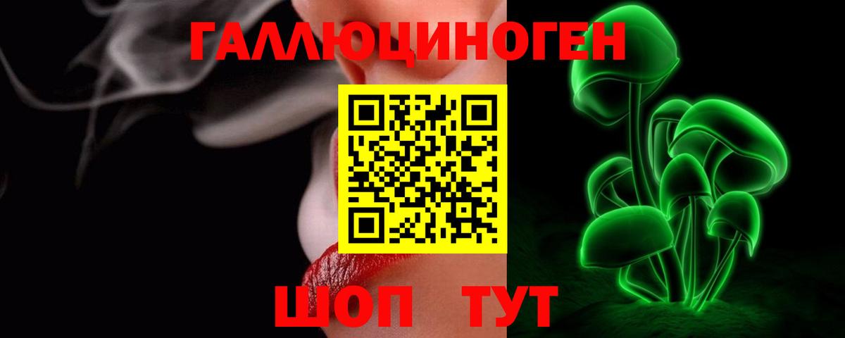 Псилоцибиновые грибы Cubensis Гатчина