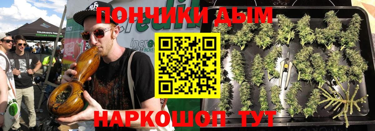 Канабис план  Каннабис ГИДРОПОН  Гатчина  Вход с VPN  Бошки марихуана марихуана 